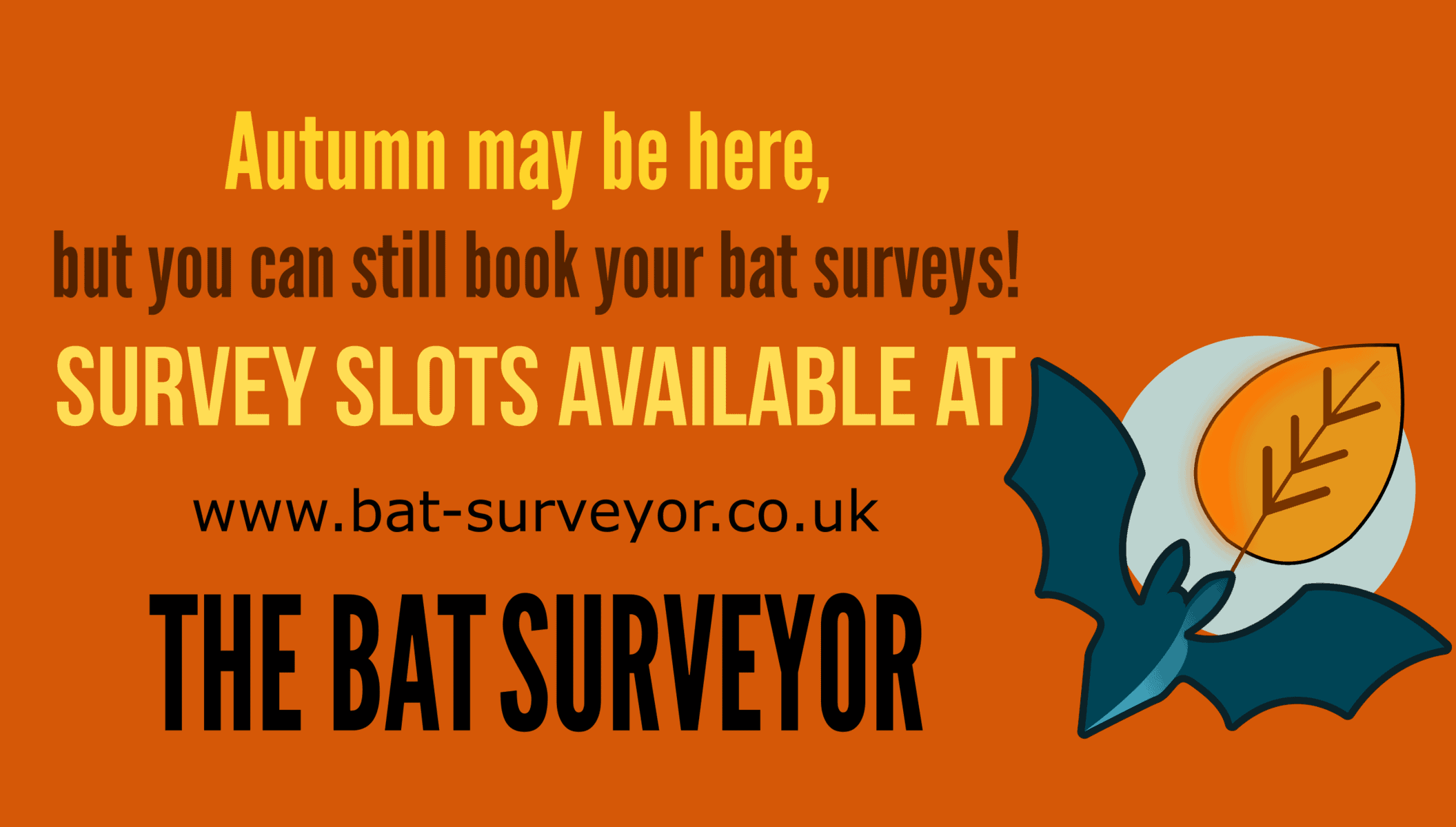 Can bat surveys be undertaken in Autumn? - Bat Surveyor